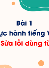 Bài 1 - Thực hành tiếng Việt Sửa lỗi dùng từ